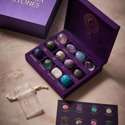 Zodiac Crystal Set Pisces